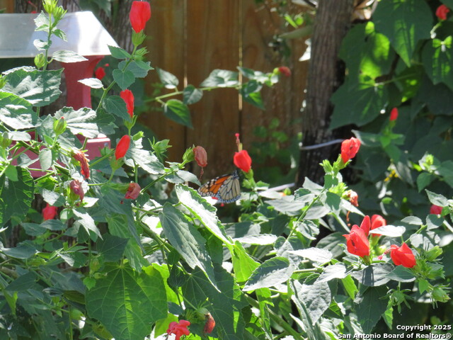 Image 23 of 43 For 1884 Us Highway 90