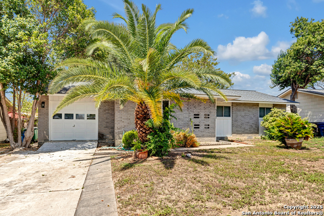 Image 2 of 25 For 4303 Sunshadow