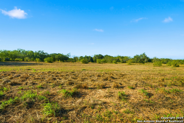 Image 10 of 16 For 00 Speed Ave