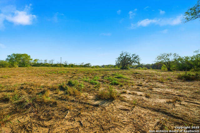 Image 13 of 16 For 00 Speed Ave