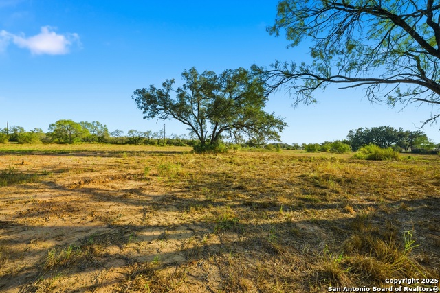 Image 14 of 16 For 00 Speed Ave