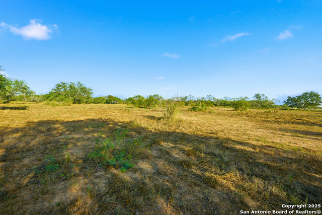 Image 15 of 16 For 00 Speed Ave