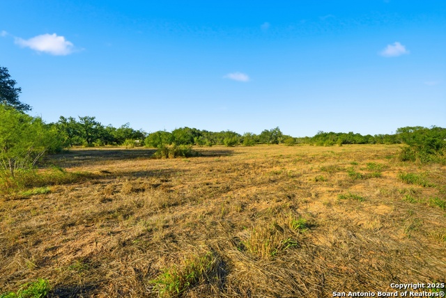 Image 9 of 16 For 00 Speed Ave