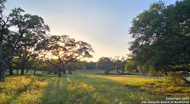 Image 6 of 12 For 874 Maximino Ridge
