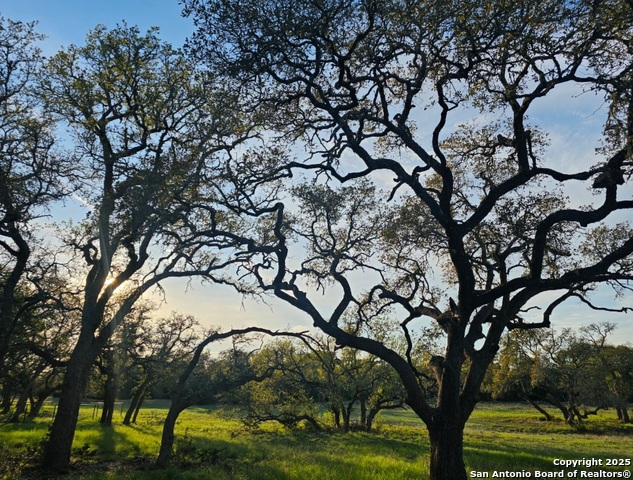 Image 7 of 12 For 874 Maximino Ridge