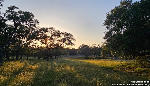Image 8 of 12 For 874 Maximino Ridge