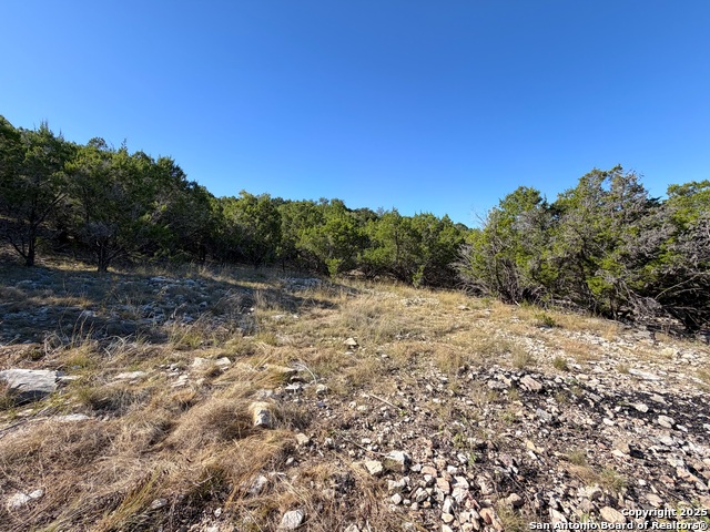 Image 11 of 15 For 2114 Johnson