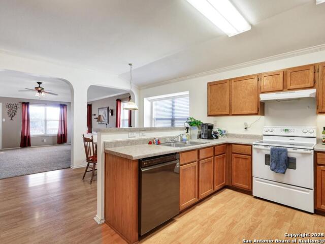 Image 7 of 33 For 10622 Lynx Range