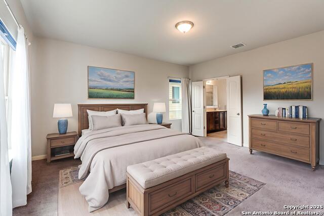 Image 12 of 25 For 4684 Grey Sotol