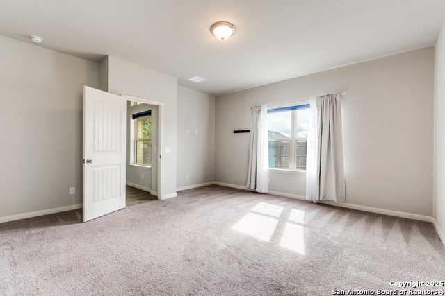 Image 13 of 25 For 4684 Grey Sotol