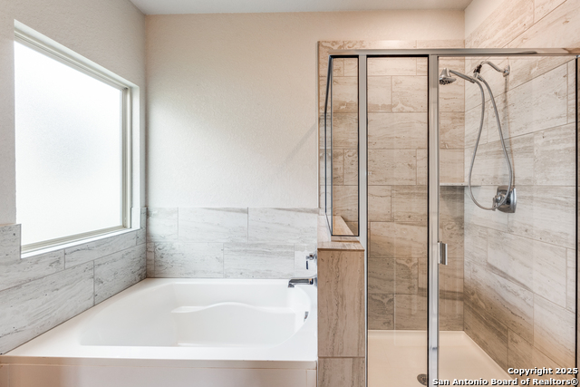 Image 15 of 25 For 4684 Grey Sotol