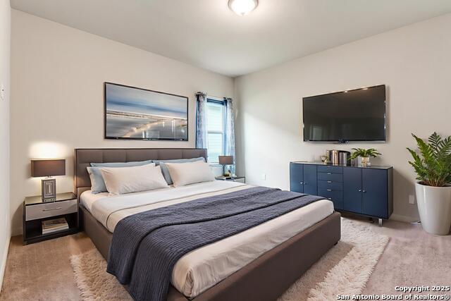 Image 18 of 25 For 4684 Grey Sotol