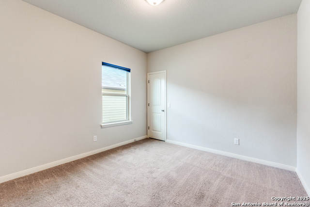 Image 19 of 25 For 4684 Grey Sotol