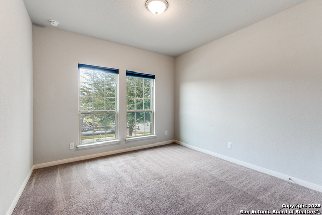 Image 20 of 25 For 4684 Grey Sotol