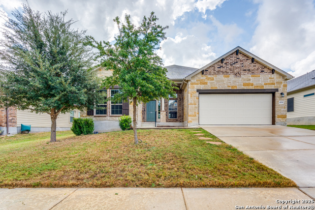 Image 25 of 25 For 4684 Grey Sotol