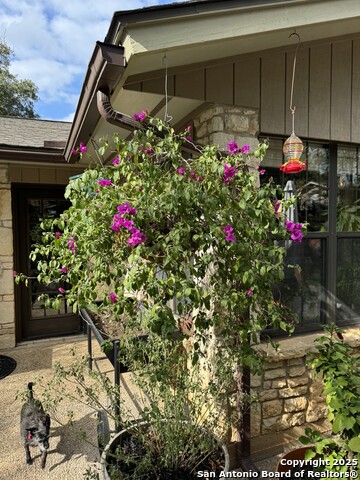 Image 30 of 38 For 105 Shane  