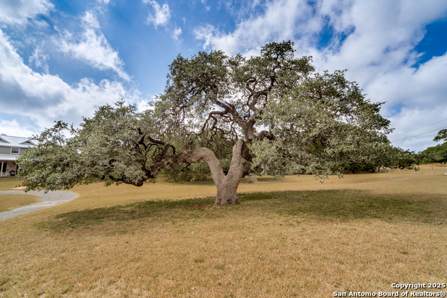 Listing photo id 2 for 67 Skyland Drive