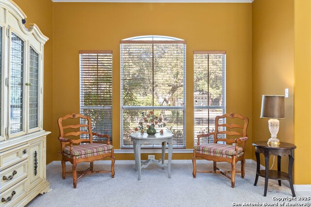 Listing photo id 4 for 13310 Bow Heights