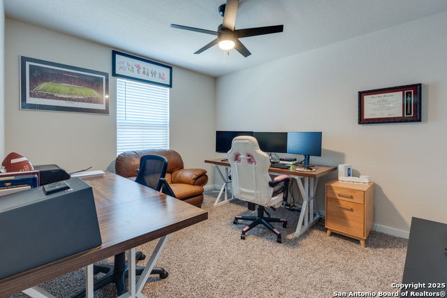 Image 21 of 25 For 3237 Hyacinth