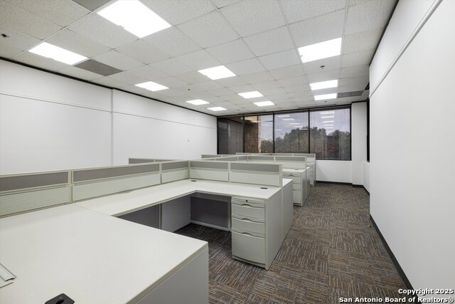 Details for 12042 Blanco Rd 241, San Antonio, TX 78216