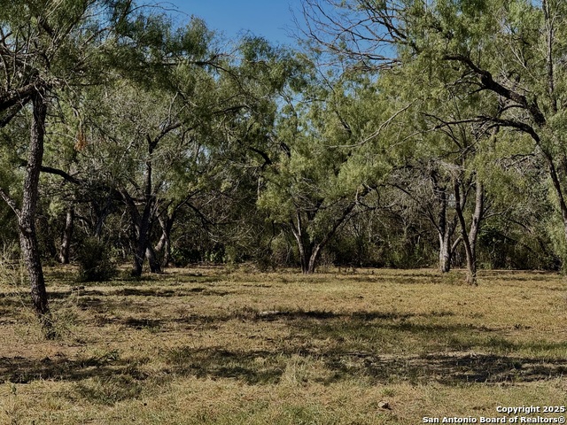 Image 12 of 14 For 635 Beavers Ln