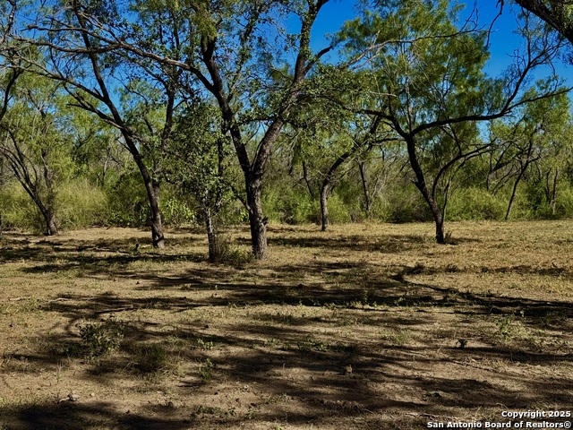 Image 13 of 14 For 635 Beavers Ln