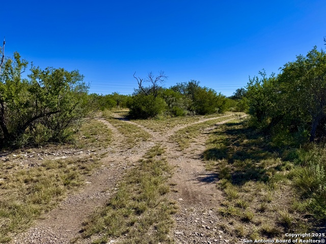 Image 14 of 14 For 635 Beavers Ln