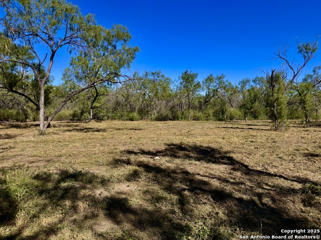 Image 6 of 14 For 635 Beavers Ln