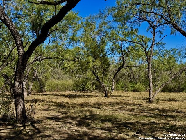 Image 7 of 14 For 635 Beavers Ln