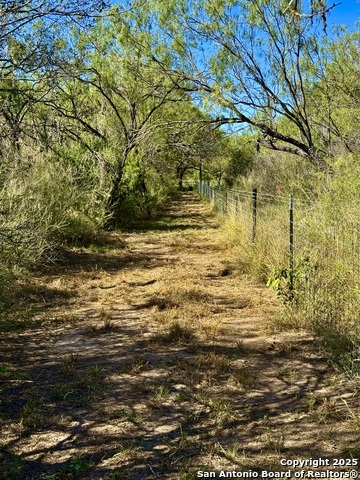 Image 8 of 14 For 635 Beavers Ln