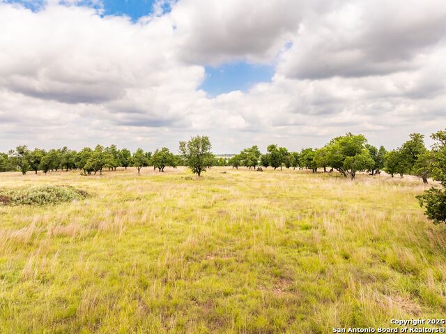 Image 56 of 63 For 596 Ruger  