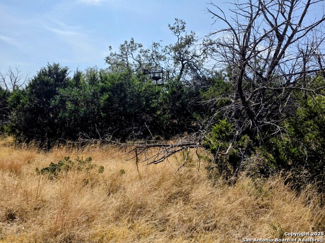 Listing photo id 9 for 00 Black Waterhole Ranch