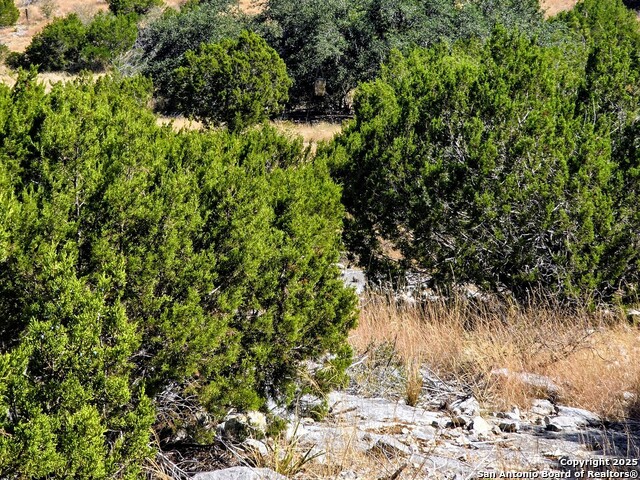 Listing photo id 12 for 00 Black Waterhole Ranch