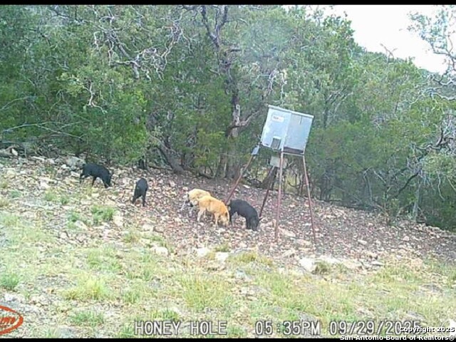 Listing photo id 17 for 00 Black Waterhole Ranch