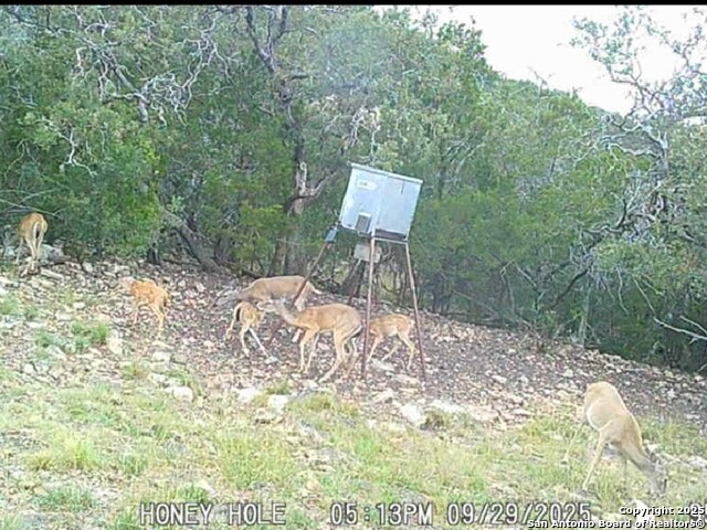 Listing photo id 0 for 00 Black Waterhole Ranch