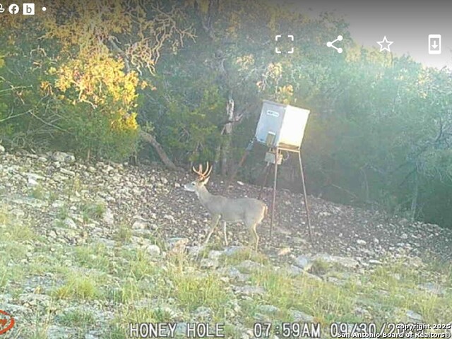 Listing photo id 19 for 00 Black Waterhole Ranch