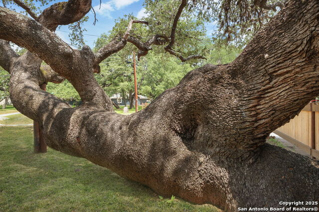 Image 12 of 59 For 102 Southgate