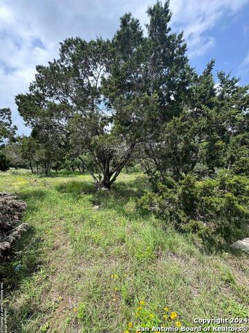 Image 4 of 8 For 248 Wren Cir