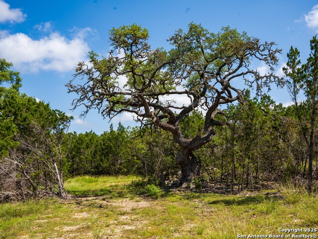 Details for 000 Oak Valley Ranch, Dripping Springs, TX 78620