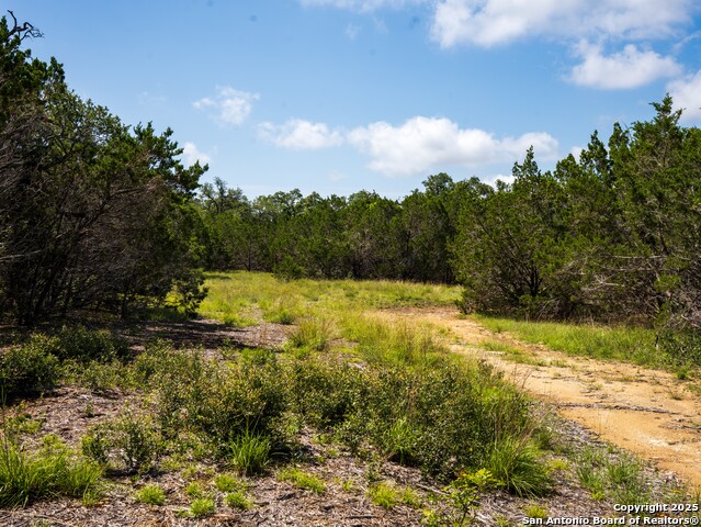 Listing photo id 8 for 000 Oak Valley Ranch