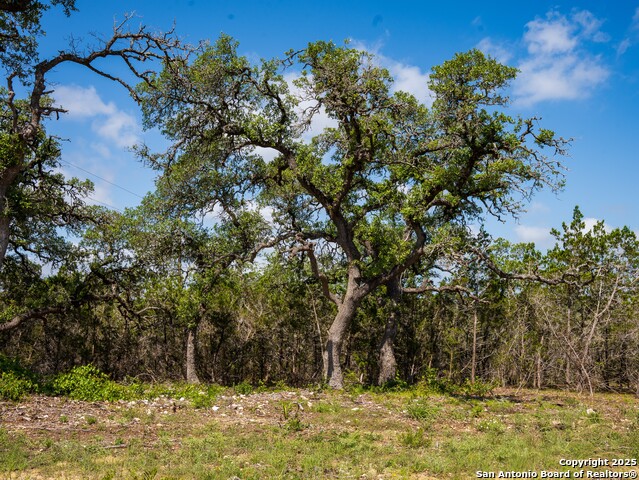 Listing photo id 1 for 000 Oak Valley Ranch