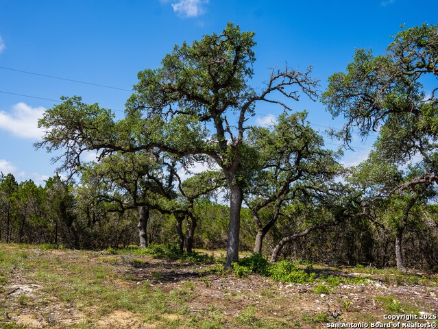 Listing photo id 2 for 000 Oak Valley Ranch