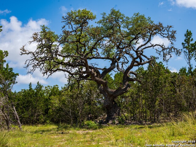 Listing photo id 7 for 000 Oak Valley Ranch