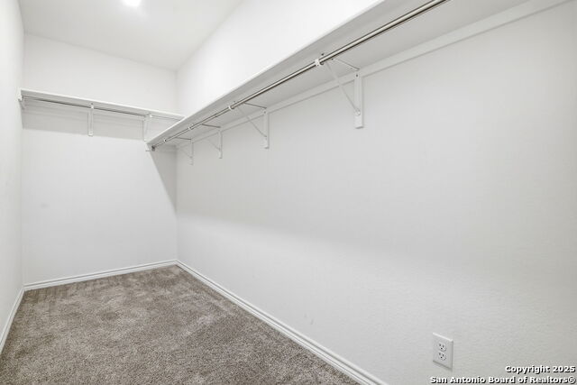 Image 13 of 26 For 11741 Red Pheasant