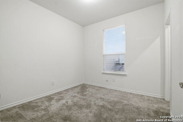 Image 14 of 26 For 11741 Red Pheasant