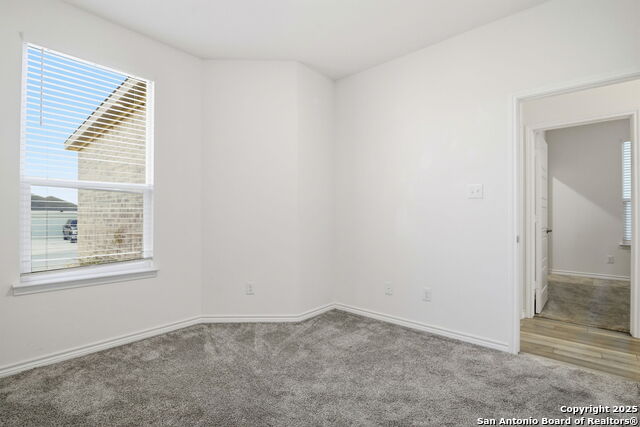 Image 18 of 26 For 11741 Red Pheasant