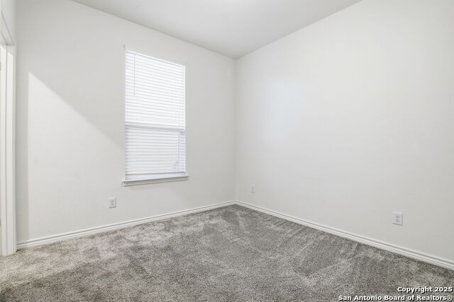 Image 19 of 26 For 11741 Red Pheasant