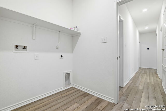 Image 21 of 26 For 11741 Red Pheasant