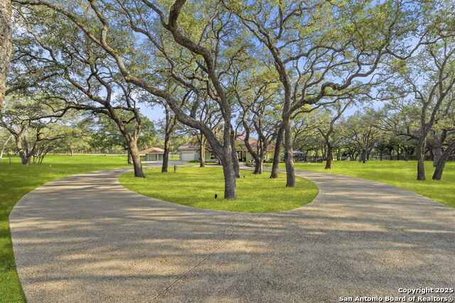 Image 44 of 54 For 443 Rosewood Dr