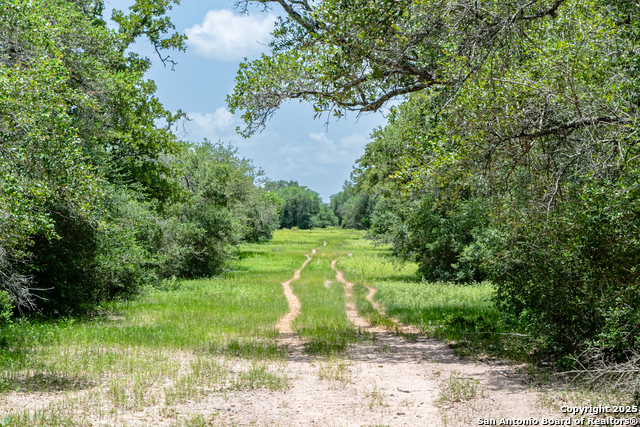 Listing photo id 12 for Tbd Fm 682  